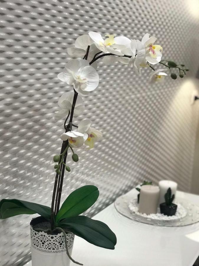 B&B Casa Calenda 格拉格纳诺 外观 照片